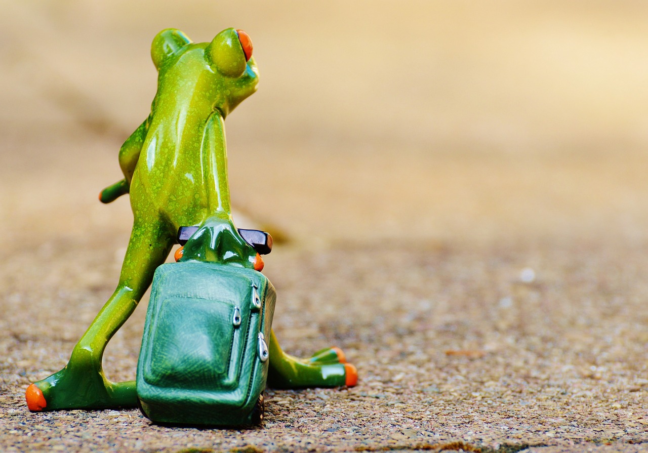 découvrez nos conseils, astuces et inspirations pour voyager à travers le monde. préparez vos prochaines aventures grâce à des guides détaillés, des idées de destinations et des informations pratiques pour un voyage inoubliable.