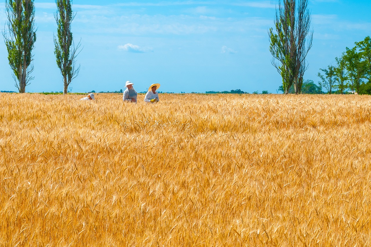 découvrez comment choisir le bon partenaire pour réussir vos projets de partenariat. conseils, critères essentiels et étapes clés pour une sélection efficace et durable.