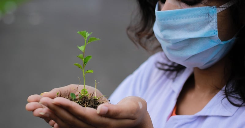 Masque mains à l'avoine colloïdale : le secret d'une peau douce