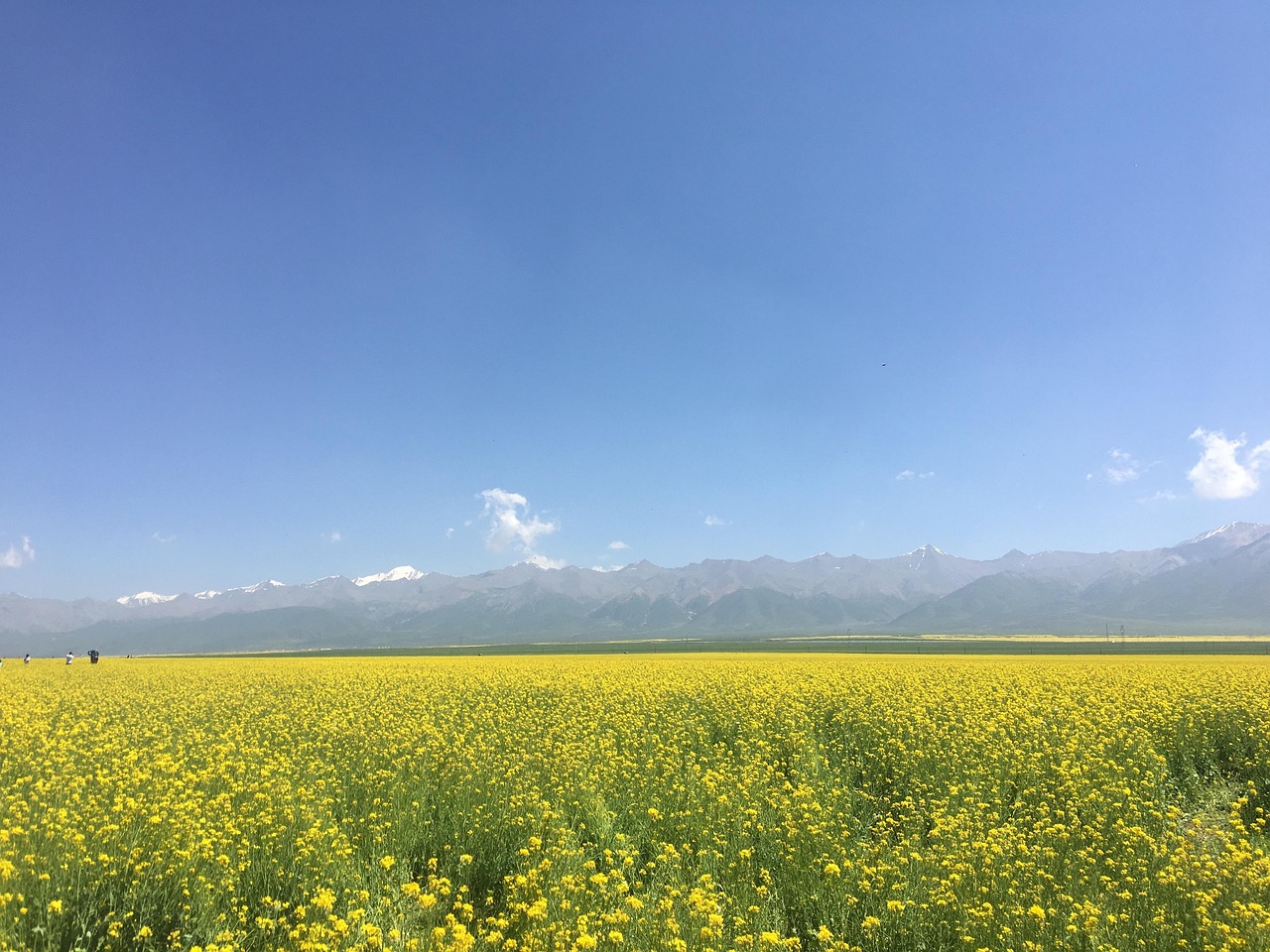 découvrez nos solutions efficaces de sourcing pour trouver les meilleurs talents et optimiser vos processus de recrutement.