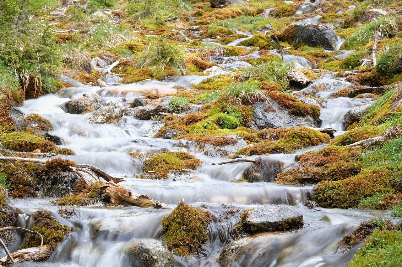 découvrez notre expertise en sourcing pour identifier et sélectionner les meilleurs fournisseurs, optimiser vos achats et renforcer votre chaîne d'approvisionnement.